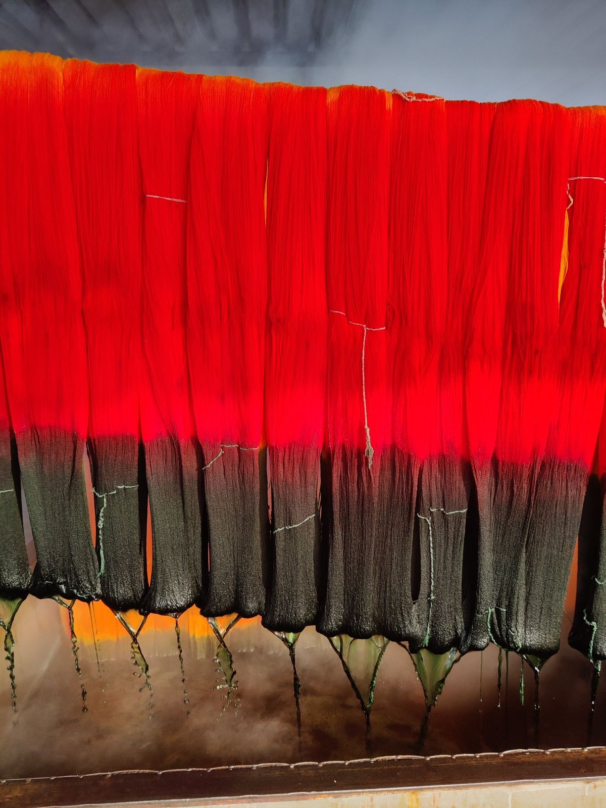 Hanks of yarn hanging over a dyeing bath, bright red above and dark green below where they have been dipped, dye dripping into the bath